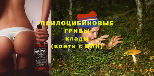 прущие крисы Вяземский