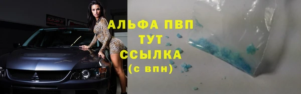 прущие грибы Володарск