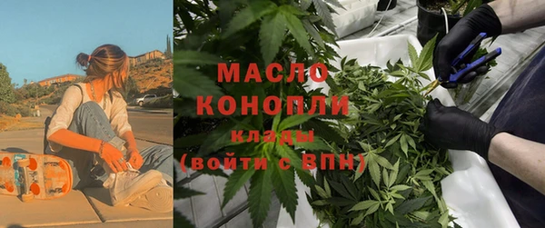 СК Вязьма