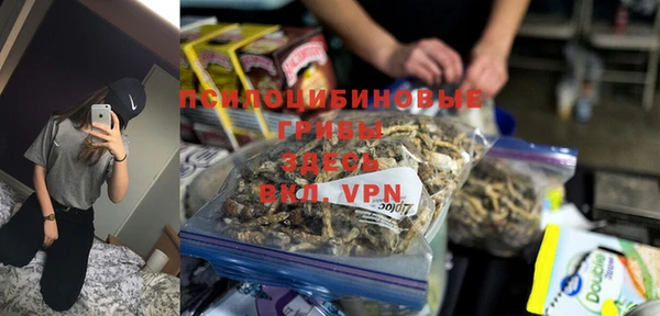 прущие грибы Володарск