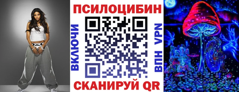 Галлюциногенные грибы мицелий  kraken зеркало  Новоржев 